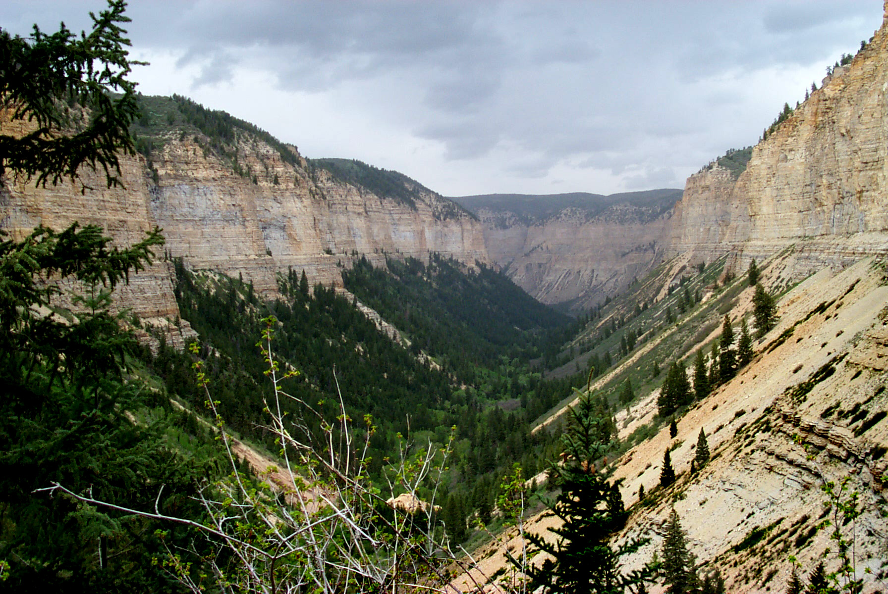 Roan Plateau canyon CEC